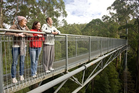 Adventure Sunset Three Day Great Ocean Road Tour - Accommodation Rockhampton 14
