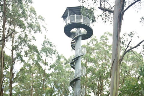 Adventure Sunset Three Day Great Ocean Road Tour - Accommodation Rockhampton 3