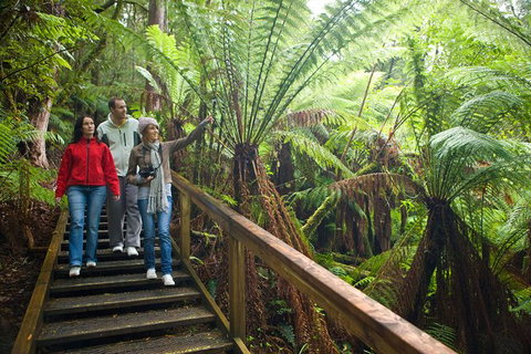 Adventure Sunset Three Day Great Ocean Road Tour - Accommodation Rockhampton 13