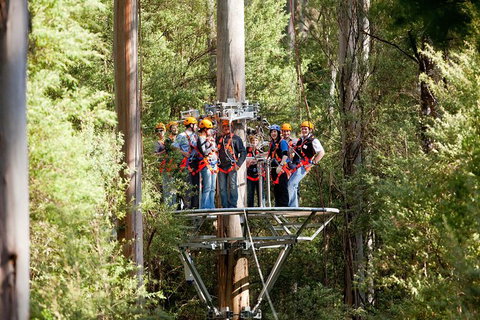 Adventure Sunset Three Day Great Ocean Road Tour - Accommodation Rockhampton 26