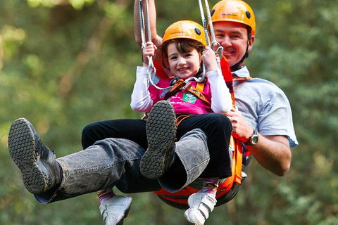 Adventure Sunset Three Day Great Ocean Road Tour - Accommodation Rockhampton 30