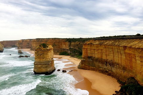 Ultimate Reverse Direction - 12 Apostles, Great Ocean Road - Small Group Tour - Accommodation Rockhampton 5