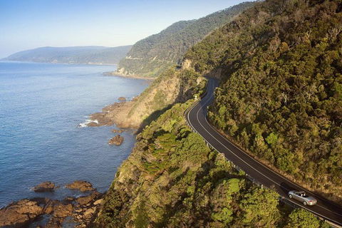Ultimate Reverse Direction - 12 Apostles, Great Ocean Road - Small Group Tour - Accommodation Rockhampton 10