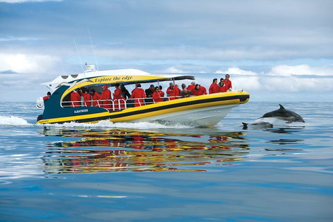 3-Hour Tasman Peninsula Wilderness Cruise From Port Arthur - Accommodation Rockhampton 5