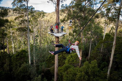 Hollybank Wilderness Adventure - Zipline Tours - Accommodation Rockhampton 1