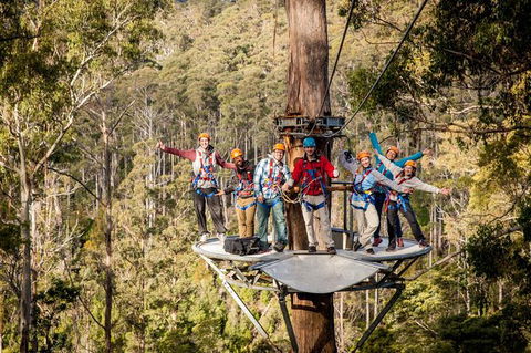 Hollybank Wilderness Adventure - Zipline Tours - Accommodation Rockhampton 2