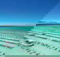 Coffin Bay Private Day Tour from Port Lincoln - A Taste of Coffin Bay - Accommodation Rockhampton