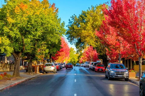 Adelaide City Highlights With Hahndorf And Mt. Lofty - Accommodation Rockhampton 7