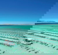 Coffin Bay Day Tour - A Taste of Coffin Bay - Accommodation Rockhampton