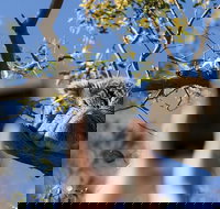 Exceptional Port Lincoln Seafood and Wildlife Tour - Accommodation Rockhampton