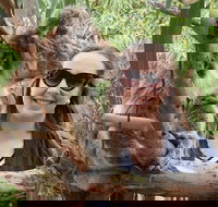 One Day Port Lincoln Tour - Tasting Eyre - Accommodation Rockhampton