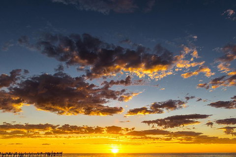 Adelaide Ocean Safari - Twilight Safari - Accommodation Rockhampton 1