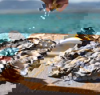 Experience Coffin Bay Short and Sweet Oyster Farm Tour - Accommodation Rockhampton