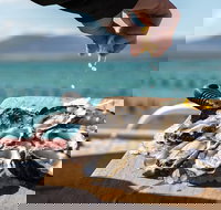 Experience Coffin Bay Oyster Farm and Bay Tour - Accommodation Rockhampton