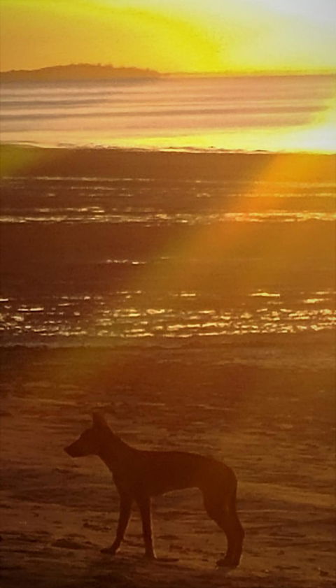 3-Day Fraser Island Resort Package - Accommodation Rockhampton 3