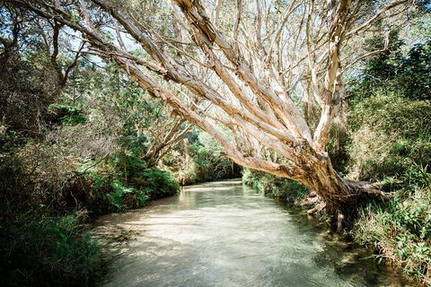 3-Day Fraser Island Resort Package - Accommodation Rockhampton 11