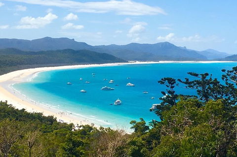 Whitehaven Beach And Hill Inlet | Awesome Beach BBQ | Family Friendly - Accommodation Rockhampton 7