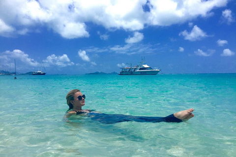 Whitehaven Beach And Hill Inlet | Awesome Beach BBQ | Family Friendly - Accommodation Rockhampton 3