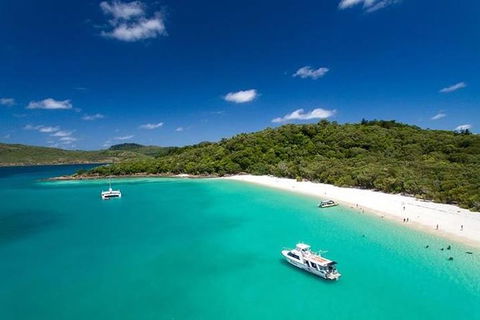 Whitehaven Beach And Hill Inlet | Awesome Beach BBQ | Family Friendly - Accommodation Rockhampton 10