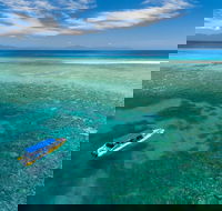 Ocean Safari Great Barrier Reef Experience in Cape Tribulation - Accommodation Rockhampton