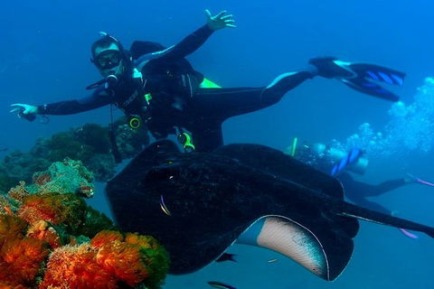 Scuba Dive The S.S. Yongala Wreck On The Great Barrier Reef. - Accommodation Rockhampton 1