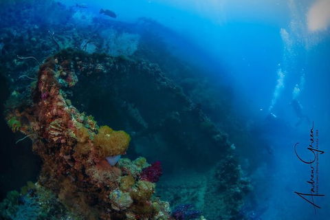 Scuba Dive The S.S. Yongala Wreck On The Great Barrier Reef. - Accommodation Rockhampton 3