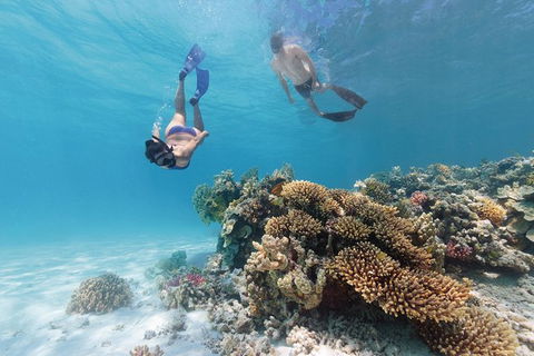 5-Day Fraser Island And Great Barrier Reef Tour - Accommodation Rockhampton 1