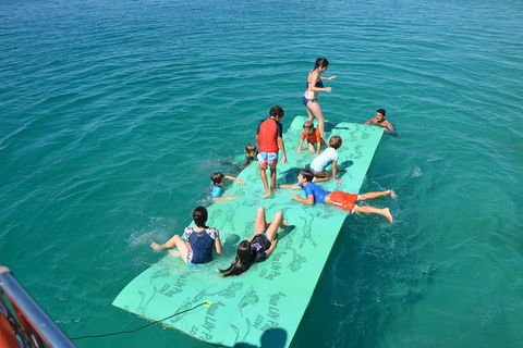 Fraser Island & Dolphin Sailing Adventure - Accommodation Rockhampton 6