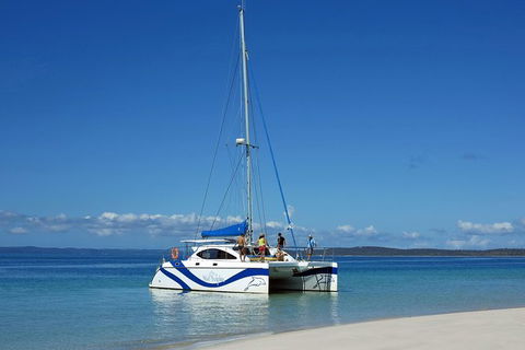 Fraser Island & Dolphin Sailing Adventure - Accommodation Rockhampton 7