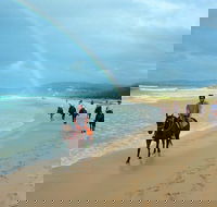 Rainbow Beach Horse Ride - Accommodation Rockhampton