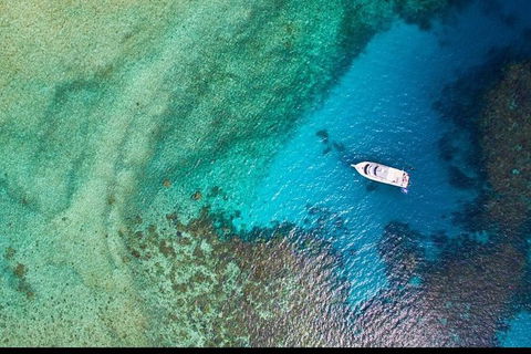 Great Barrier Reef Dive And Snorkel Cruise From Mission Beach - Accommodation Rockhampton 3