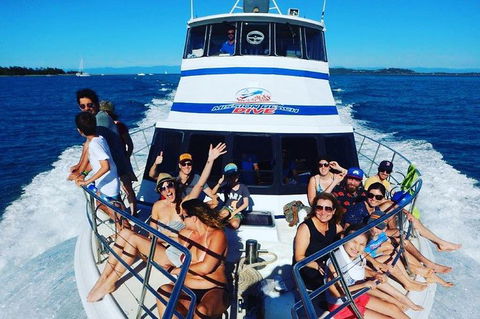 Great Barrier Reef Dive And Snorkel Cruise From Mission Beach - Accommodation Rockhampton 8