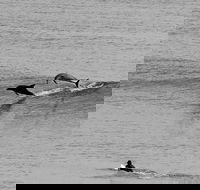 Overnight Tweed Coast Camping and Surfing Getaway From The Gold Coast - Accommodation Rockhampton