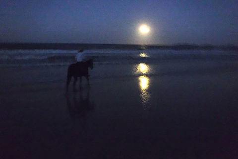 Full Moon Horse Ride At Rainbow Beach - Accommodation Rockhampton 0