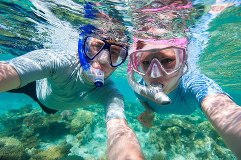 Whitehaven Beach And Hill Inlet Lookout Full-Day Snorkeling Cruise By High-Speed Catamaran - Accommodation Rockhampton 7