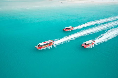 Whitehaven Beach And Hill Inlet Lookout Full-Day Snorkeling Cruise By High-Speed Catamaran - Accommodation Rockhampton 5