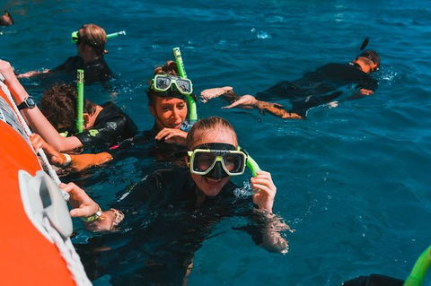 Whitehaven Beach And Hill Inlet Lookout Full-Day Snorkeling Cruise By High-Speed Catamaran - Accommodation Rockhampton 10
