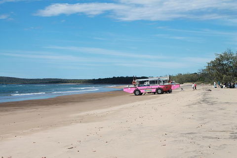 1770 Coastline Tour By LARC Amphibious Vehicle Including Picnic Lunch - Accommodation Rockhampton 6