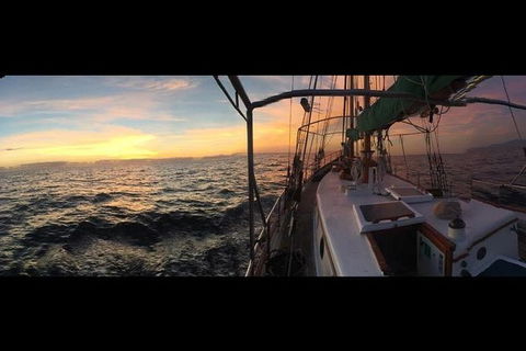 Whitsundays Sunset Sailing Cruise - Accommodation Rockhampton 3