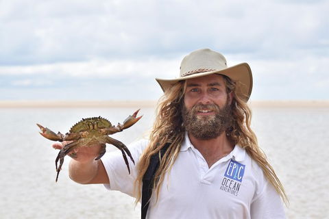 Half-Day Kayak With Dolphins And 4WD Beach Drive From Rainbow Beach - Accommodation Rockhampton 12