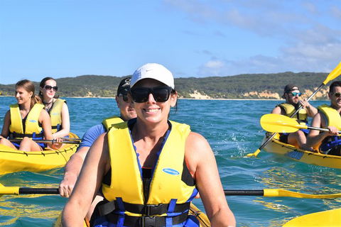 Half-Day Kayak With Dolphins And 4WD Beach Drive From Rainbow Beach - Accommodation Rockhampton 4