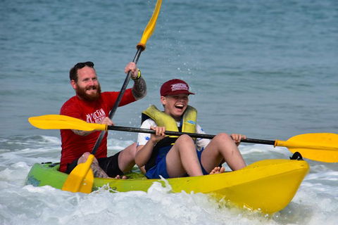 Half-Day Kayak With Dolphins And 4WD Beach Drive From Rainbow Beach - Accommodation Rockhampton 8
