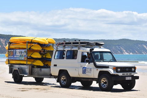 Half-Day Kayak With Dolphins And 4WD Beach Drive From Rainbow Beach - Accommodation Rockhampton 13