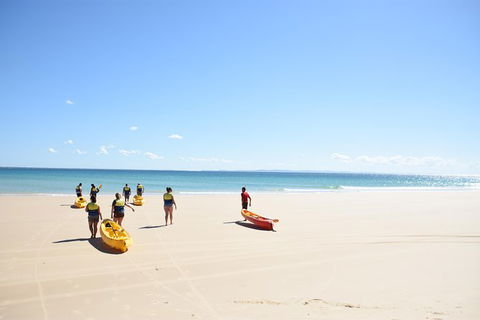 Half-Day Kayak With Dolphins And 4WD Beach Drive From Rainbow Beach - Accommodation Rockhampton 10