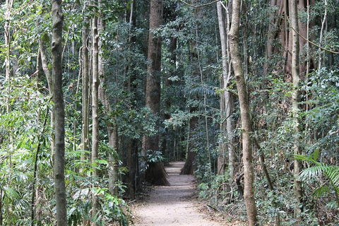 Eumundi Markets And Sunshine Coast Day Trip From Brisbane - Accommodation Rockhampton 6