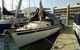 Townsville Early Morning Sailing Cruise Boat Tour - thumb 5