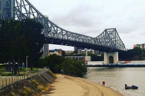 Brisbane River Guided Day Tour By Kayak - Accommodation Rockhampton 1