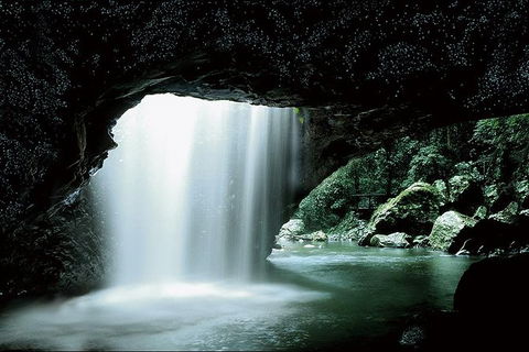 Natural Bridge Glow Worm Night Tour From Gold Coast - Accommodation Rockhampton 0
