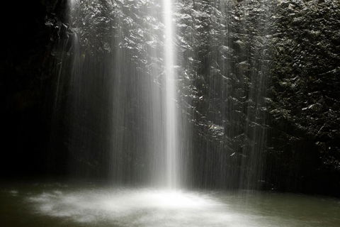 Natural Bridge Glow Worm Night Tour From Gold Coast - Accommodation Rockhampton 1