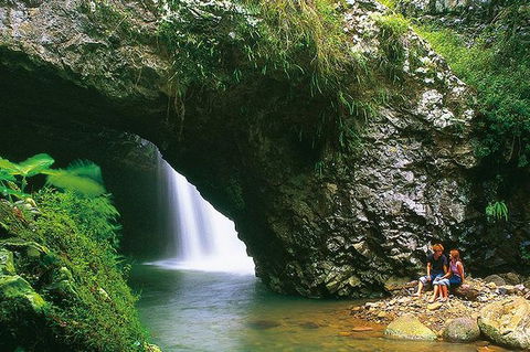 Natural Bridge Glow Worm Night Tour From Gold Coast - Accommodation Rockhampton 7